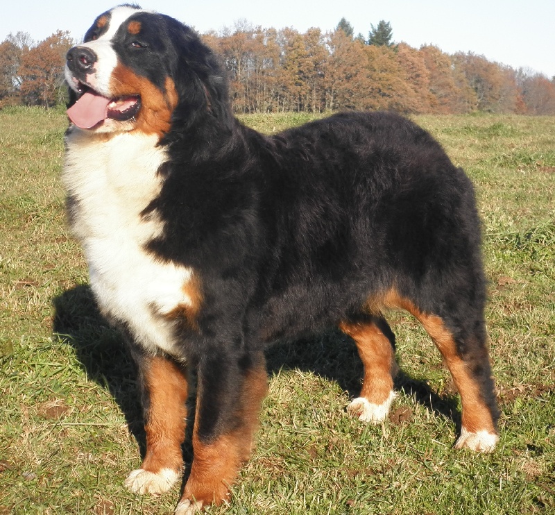 Happy end De La Colline D'Eole