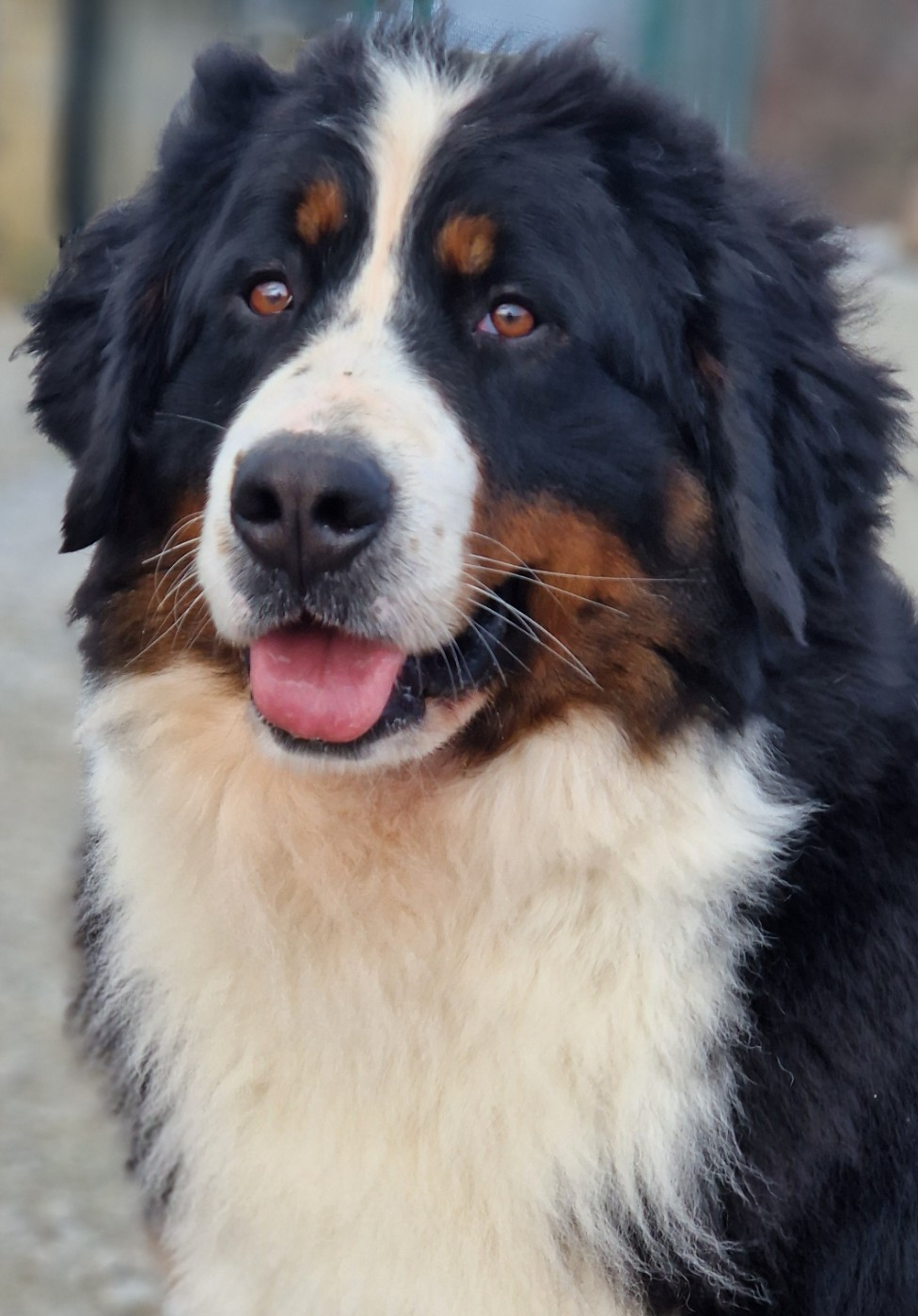 Uv De La Colline D'Eole