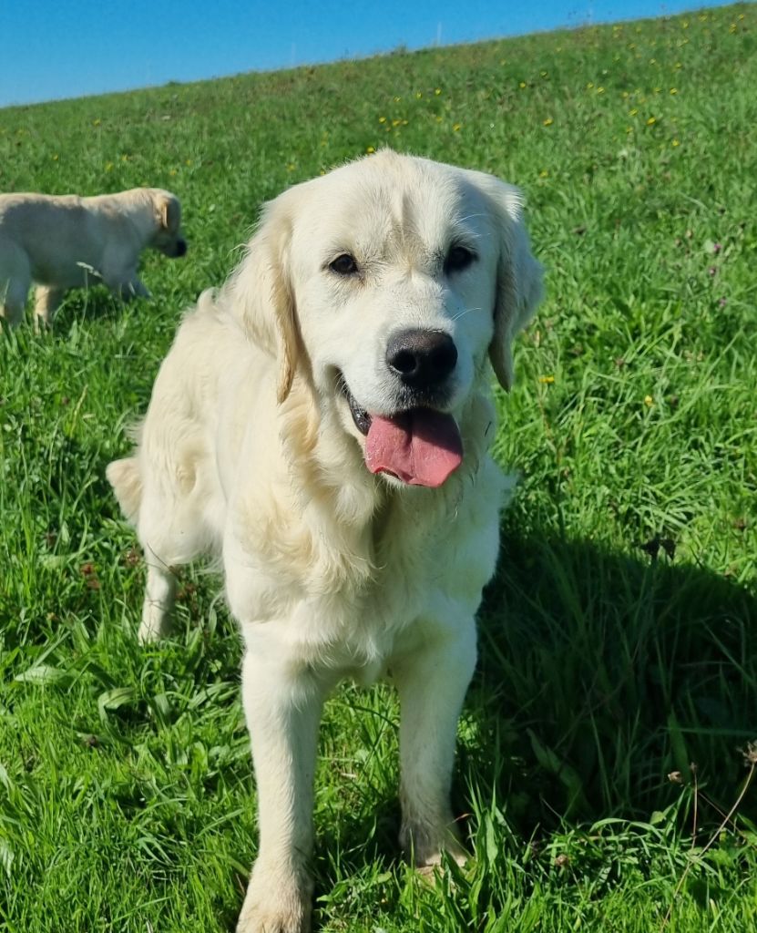 Verdi De La Colline D'Eole