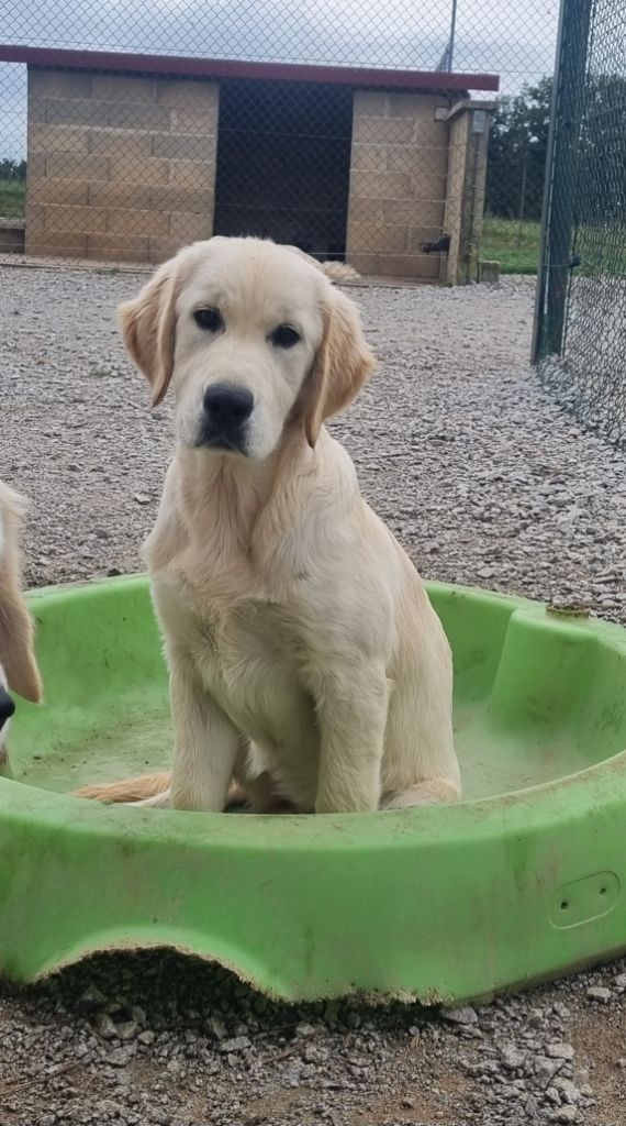 Abracadabra De La Colline D'Eole