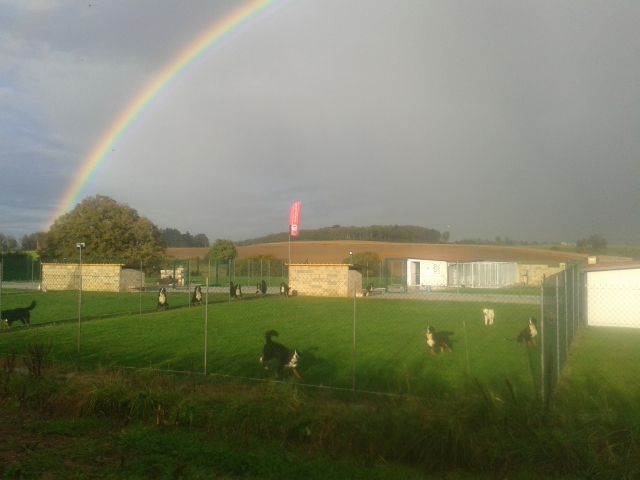 avant ou aprés l'orage ....