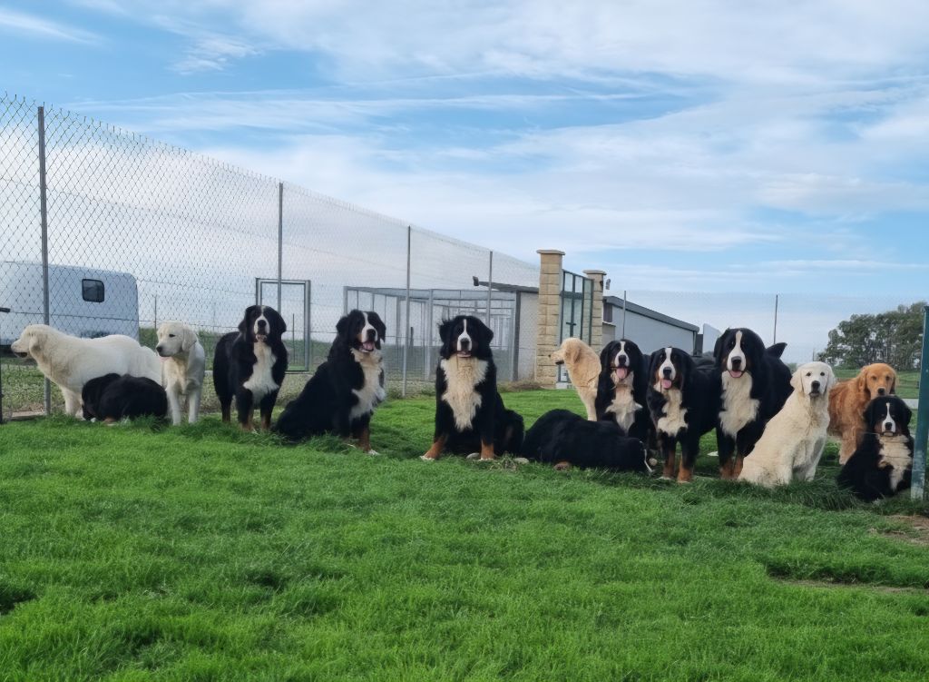 Photo de classe novembre 2025 ??